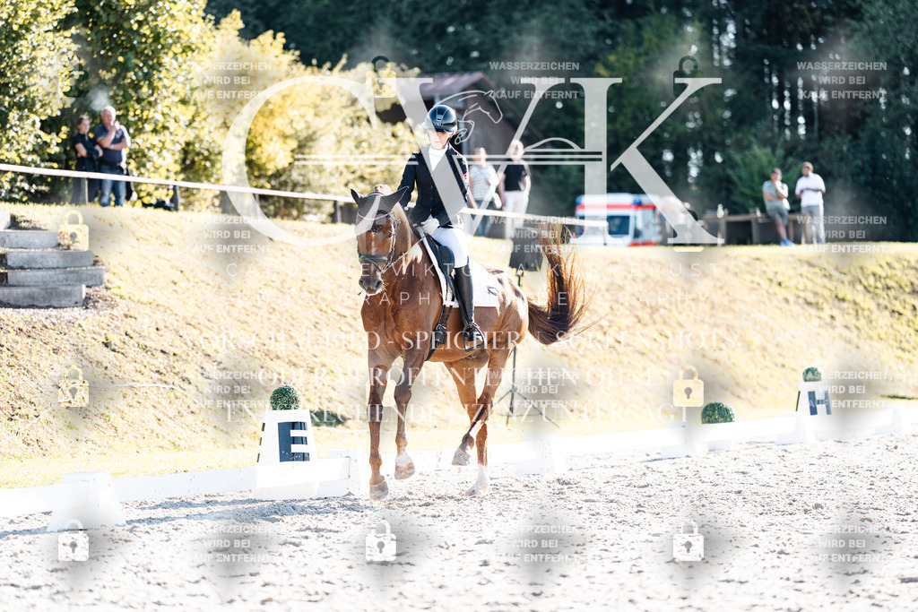 CK906712 | Turnierfotografie Pferdefotografie Trier Rheinland-Pfalz Pferdesport Reitsport Tierfotografie Sportfotografie Pferdevideo Pferdevideografie Equestrianvideography equestrianphotography  - Realisiert mit Pictrs.com