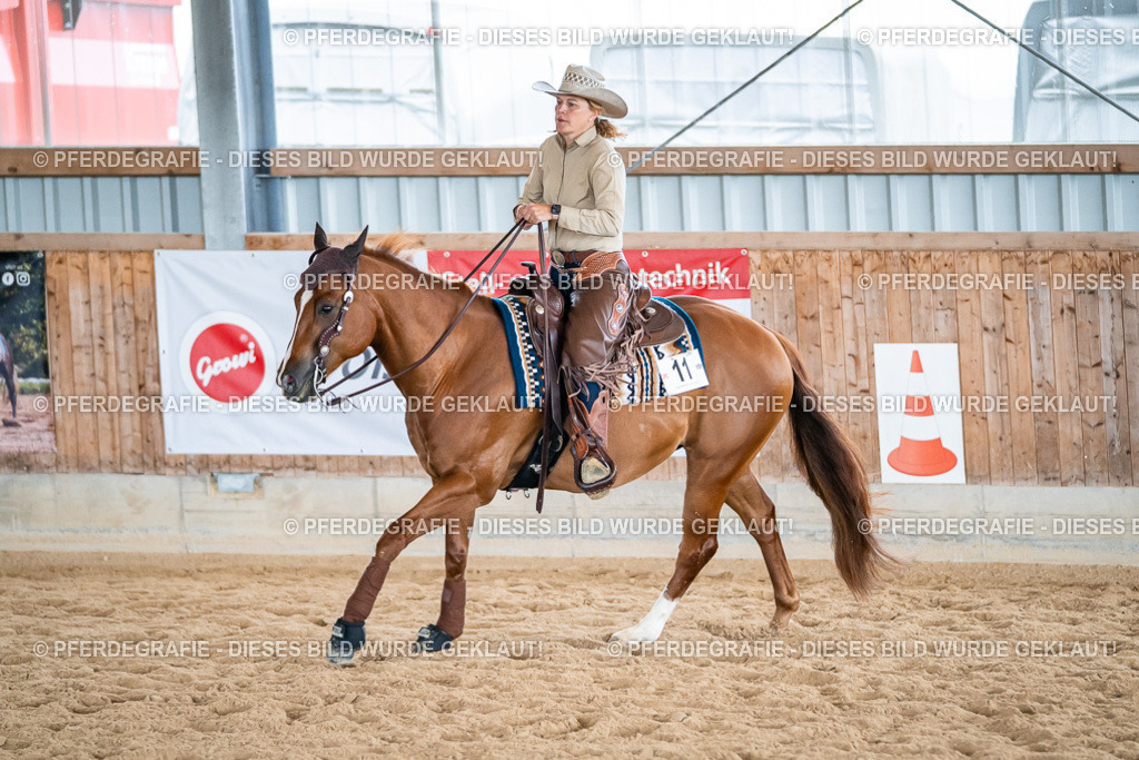 DSC07432 | Pferdegrafie