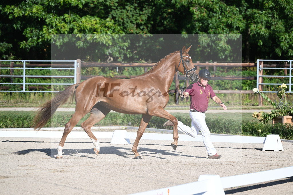 Kat-Nr. 7 Descara_Willkommer_36230563 | hf-fotografie - Realisiert mit Pictrs.com