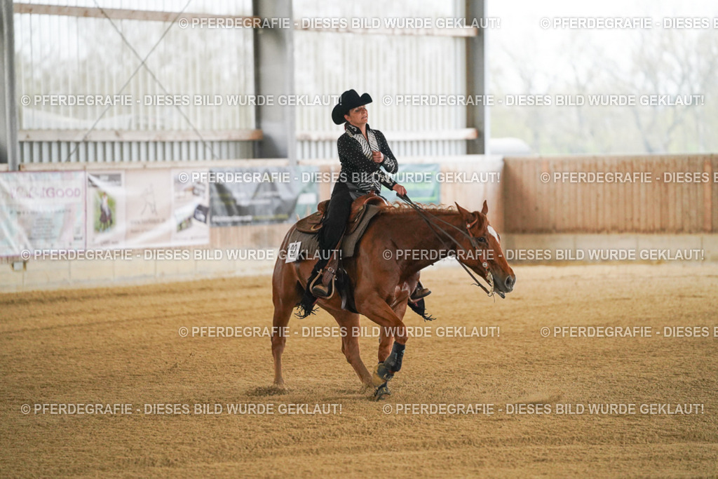 DSC08381 | Pferdegrafie