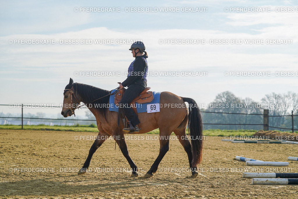 DSC00629 | Pferdegrafie