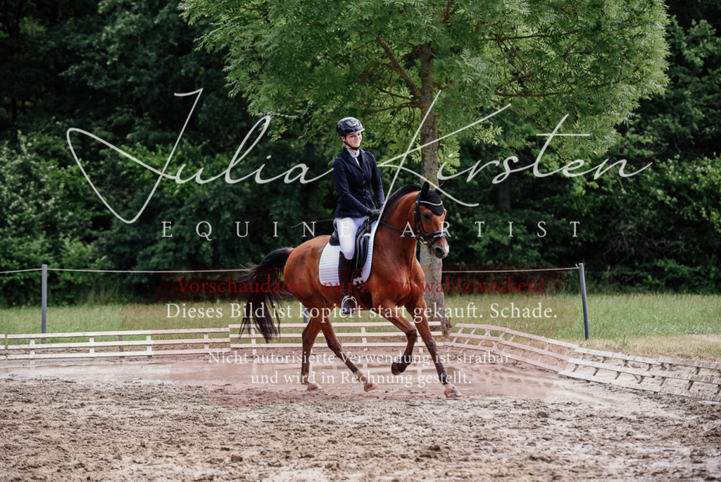 DSC_1788 | Pferde- und Turnierfotografie in Westsachsen. Pferdeportraits, Auftragszeichnungen und intuitive Kunst.