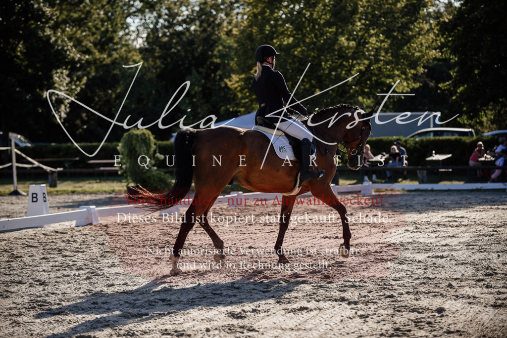 DSC_0675 | Pferde- und Turnierfotografie in Westsachsen. Pferdeportraits, Auftragszeichnungen und intuitive Kunst.