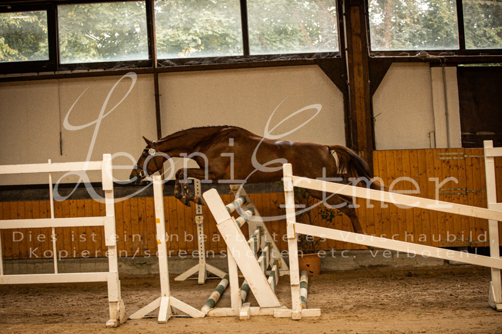 2FS_L00082 | Leoni Ertmer Photography - Realisiert mit Pictrs.com