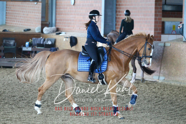 DKP42646 | Turniersportfotografie; Pferdefotografie; Dressurfotografie