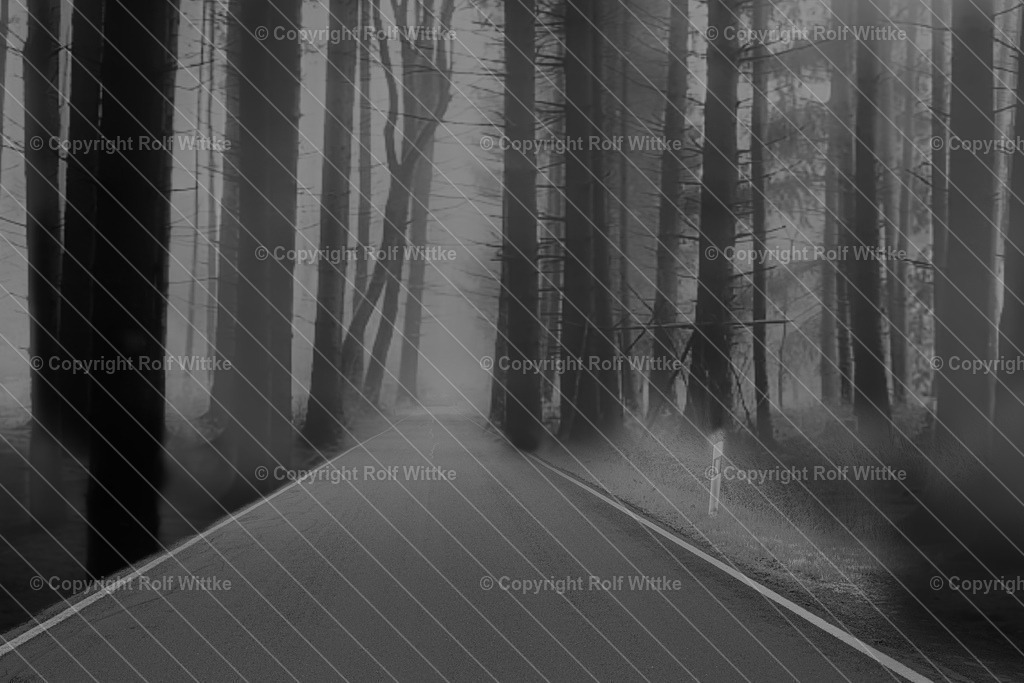 1D3A6861 | Rolf Wittke  - Realisiert mit Pictrs.com