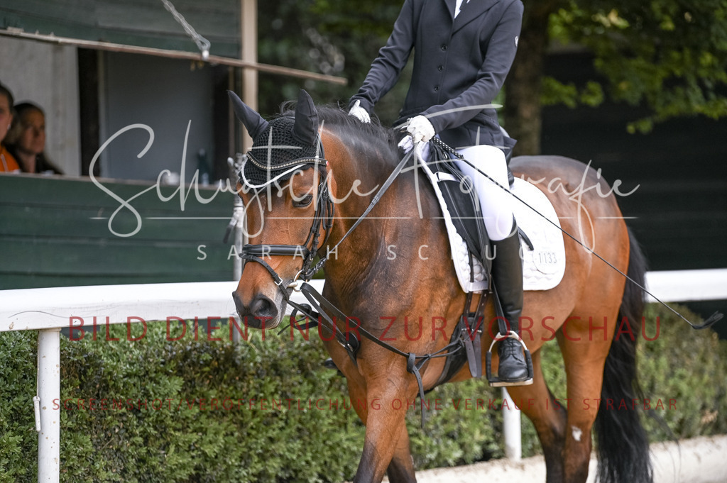 Schugtsche-Aluta25-44.DresssurreiterWB-232 | Schugtsche Fotografie - Realisiert mit Pictrs.com