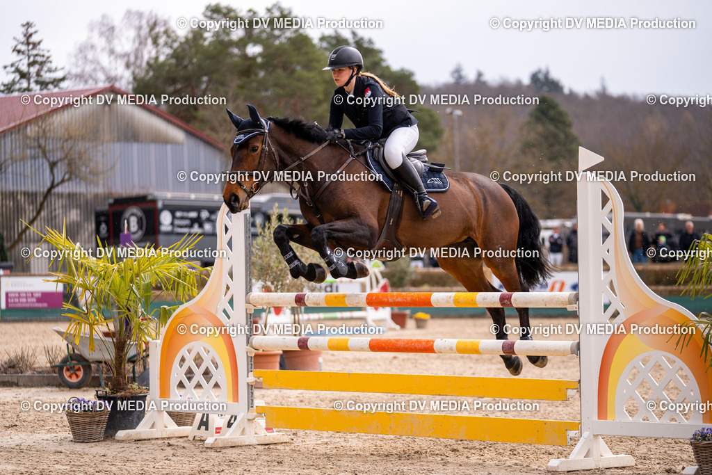 Kranichstein Tag 2-666 | dv-media-shop - Realisiert mit Pictrs.com