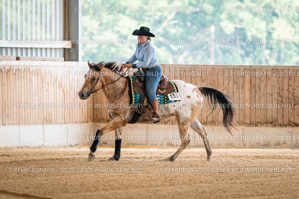 DSC03919 | Pferdegrafie