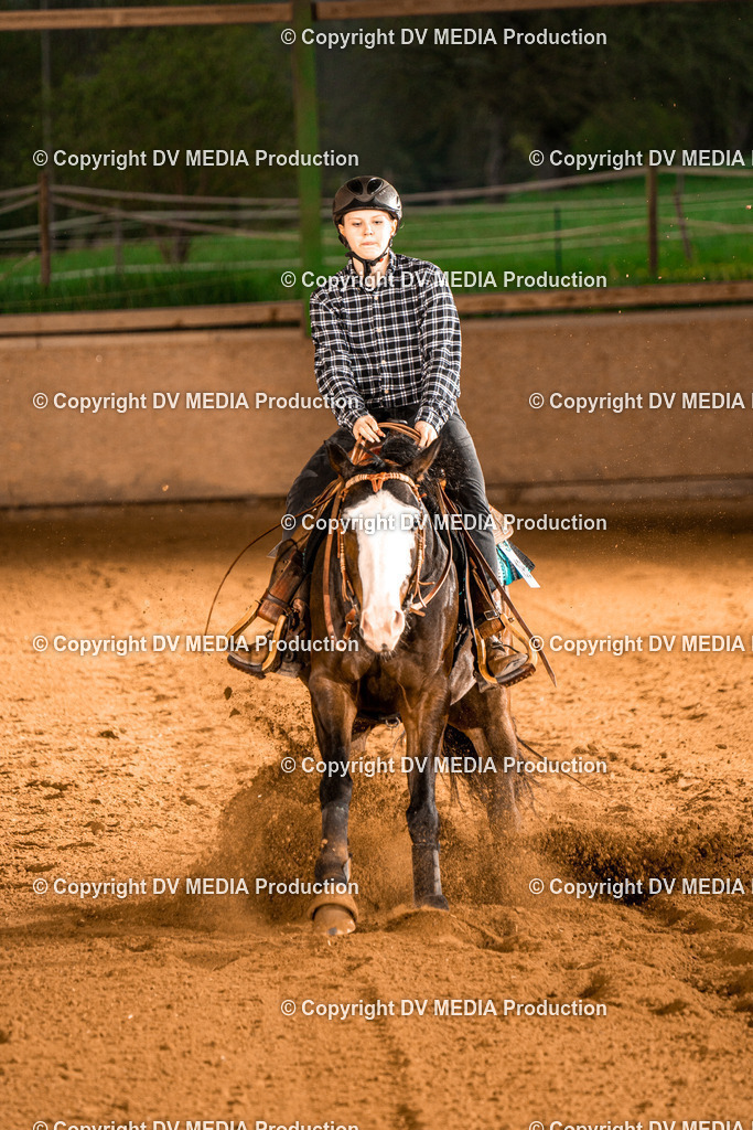 BAL01101 | dv-media-shop - Realisiert mit Pictrs.com