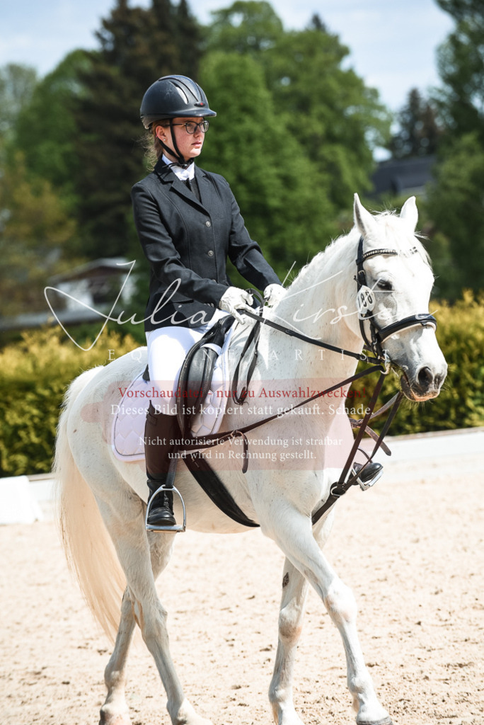 20230518_JK-Röhrsdorf-11-0868 | Pferde- und Turnierfotografie in Westsachsen. Pferdeportraits, Auftragszeichnungen und intuitive Kunst.