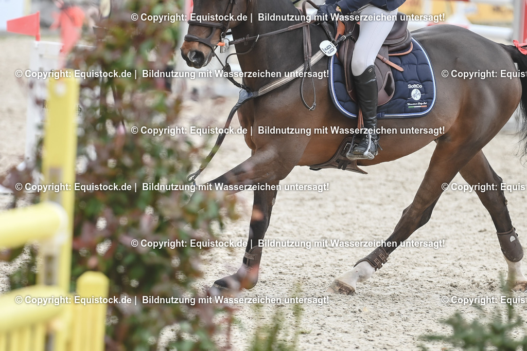 20230514_CCI4_Springen_0110 | equistock