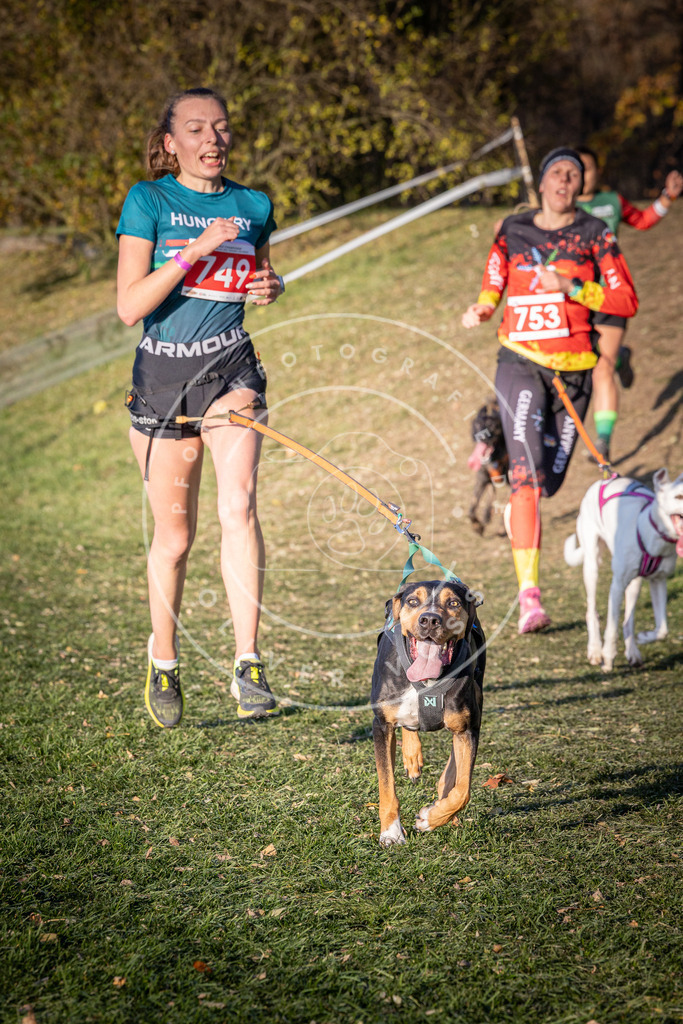 CaniXpix_0L8A9934 | Hundefotografie, Tierfotograf, Pfotenfotografie, Fotoshooting Hund, Hunde Portrait, Hundesport, Hundeportraits, Heideshooting, Hunde, Sportfotograf, Hundefotograf, Turnierhundsport, THS,  - Realisiert mit Pictrs.com
