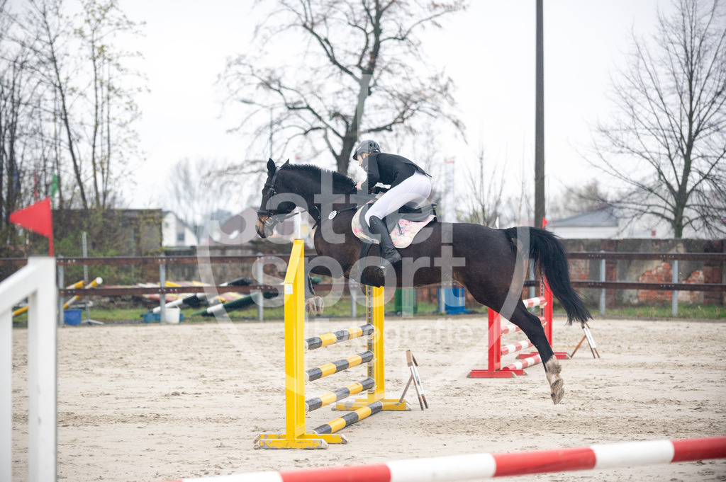 DSC_8912 | sattelsport - Realisiert mit Pictrs.com