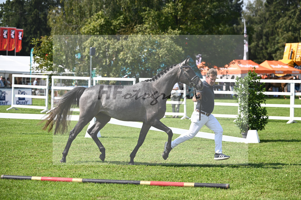 Kat-Nr. 28 nn v. Cayado_Sommer_34240579 | hf-fotografie - Realisiert mit Pictrs.com