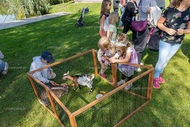 Kulinarischer Herbstreigen am Maltschacher See | Bildershop von pixelworld.at - Realisiert mit Pictrs.com