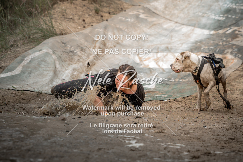 nelerasche_sa1430-1500_86 | nelerasche