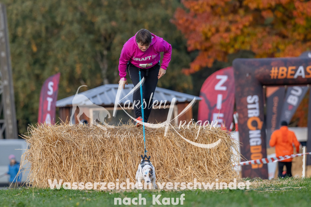 0857_ZZ91835-Bearbeitet | kk-dogfotos