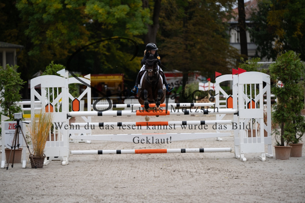 A7V00276 | Turnier/Reitfotograf