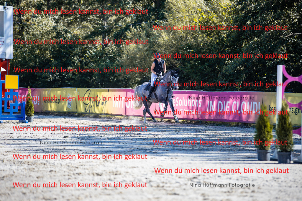 BK1A5679 | Turnierbilder Turnierfotos Nina Hüffmann Turnierfotografie Pferdefotografie Tierzeichnung Haustierzeichnung Pferdezeichnung Hundezeichnung Videograf  - Realisiert mit Pictrs.com