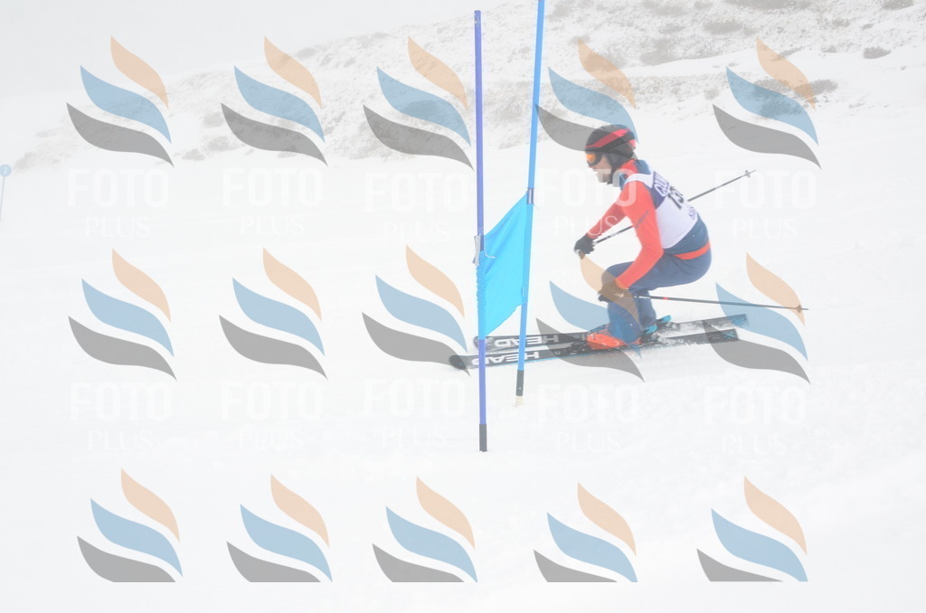 A6073 | holidayphoto