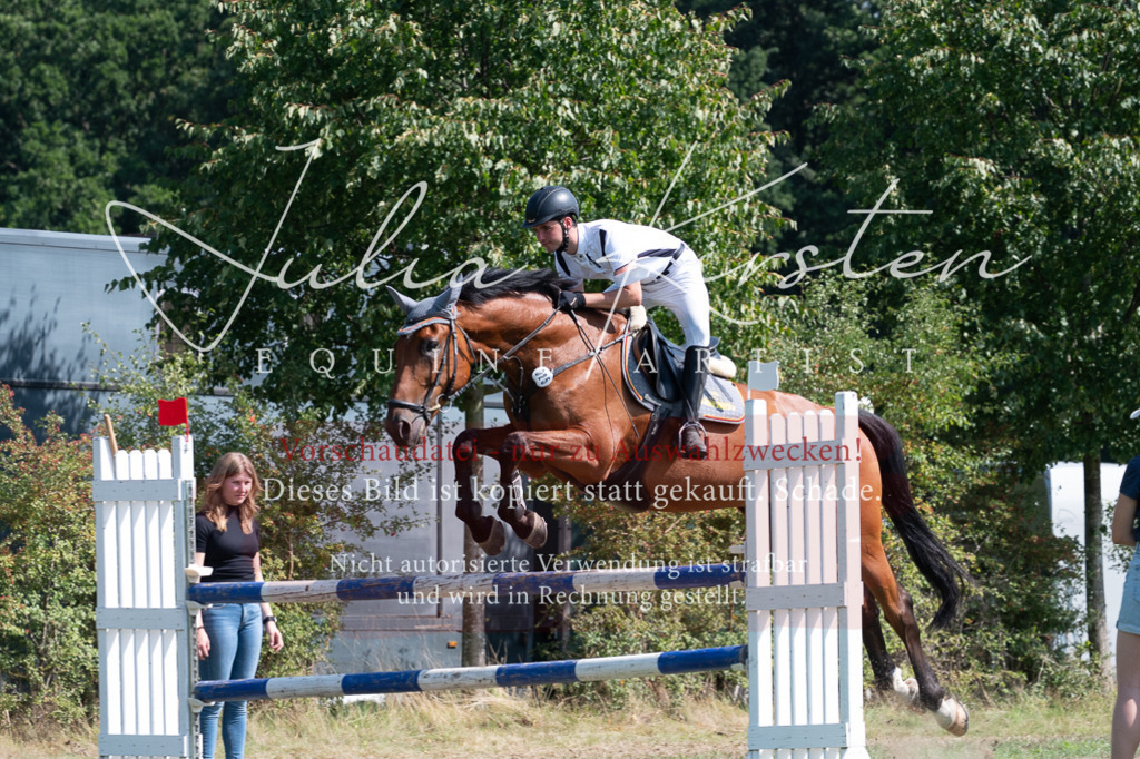 DSC_0839 | Pferde- und Turnierfotografie in Westsachsen. Pferdeportraits, Auftragszeichnungen und intuitive Kunst.