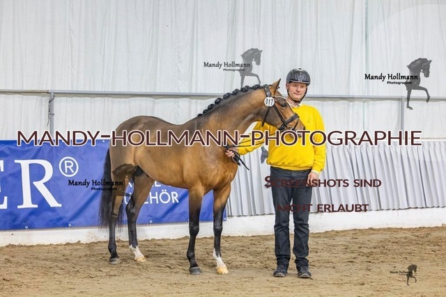 17 (63) | mandyhollmannphotographie
