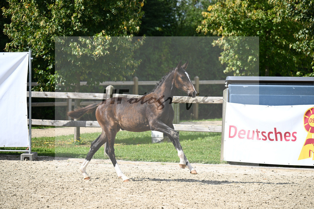Negro x Sandro Hit_SF_Lechl_29240182 | hf-fotografie - Realizzato con Pictrs.com