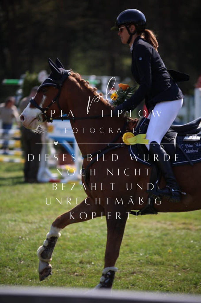 IMGT5762 | pl-fotografie