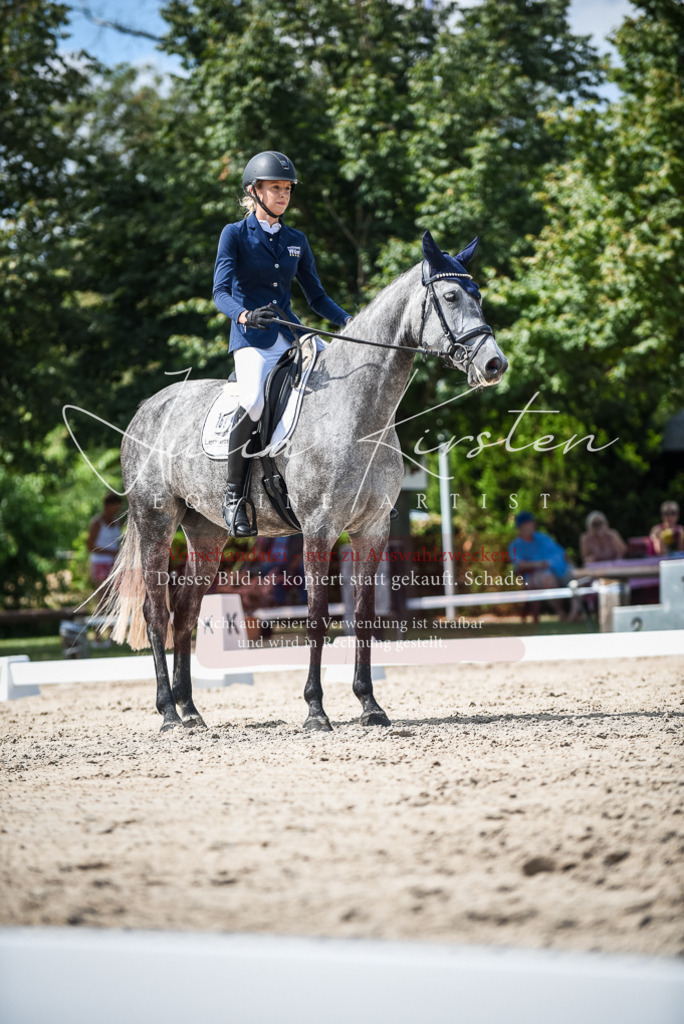 DSC_9278 | Pferde- und Turnierfotografie in Westsachsen. Pferdeportraits, Auftragszeichnungen und intuitive Kunst.