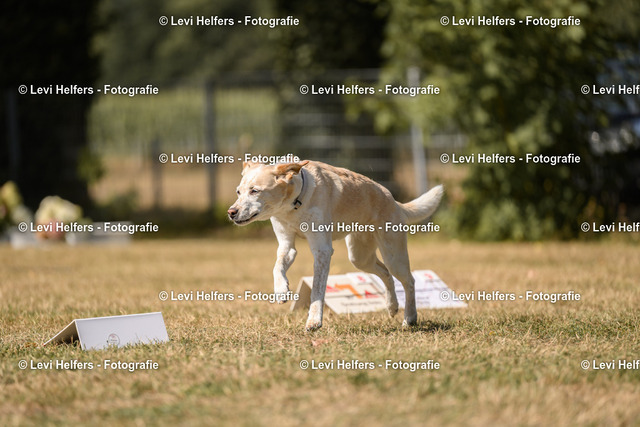 _DSC7651 | levihelfersfotografie