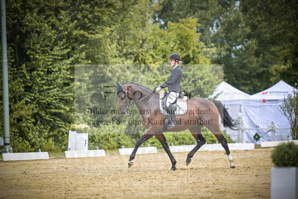 DOS_3527 | Entdecke hochwertige Reitturnierfotos von Foto Oger. Professionell, emotional und authentisch – jetzt Lieblingsmomente im Shop bestellen.Deutschlandweite Turnierfotografie. - Realisiert mit Pictrs.com