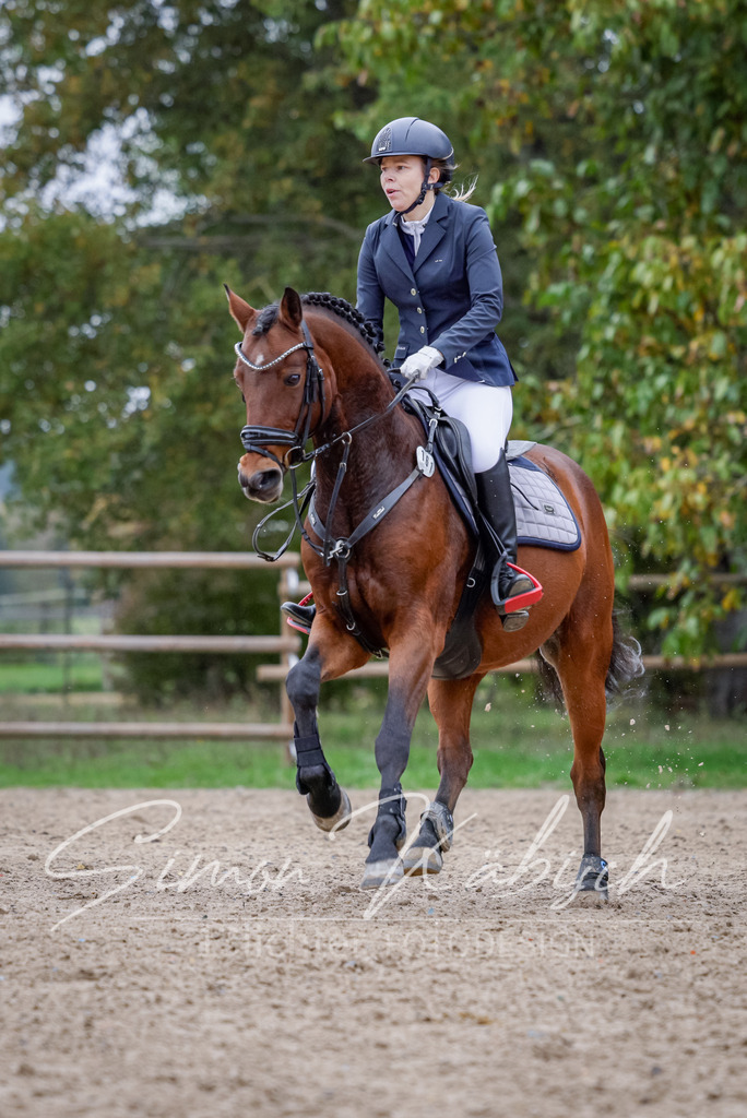 20251012-_3LI4804 | Tierfotografie Pferde, Hunde, Katzen, Haustiere.
Turnierfotografie Reitturniere, Reiten, Springreiten, Dressur in Hanau, dem Main-Kinzig-Kreis und dem Rhein-Main- Gebiet um Frankfurt