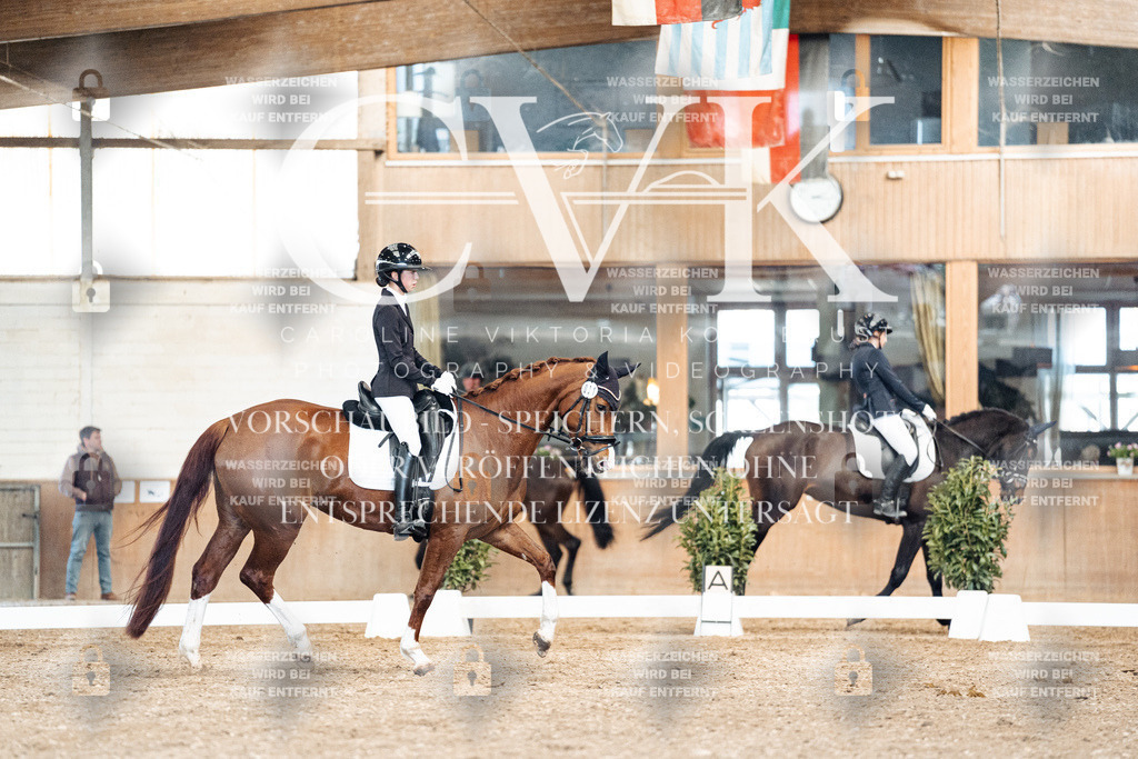 CK901314 | Turnierfotografie Pferdefotografie Trier Rheinland-Pfalz Pferdesport Reitsport Tierfotografie Sportfotografie Pferdevideo Pferdevideografie Equestrianvideography equestrianphotography  - Realisiert mit Pictrs.com