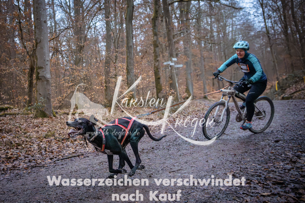 0813_ZZ94391 | kk-dogfotos