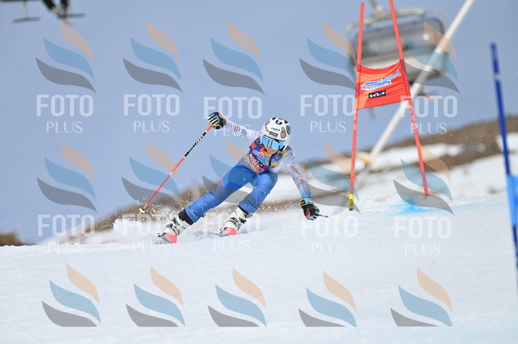 BGV_1609 | holidayphoto