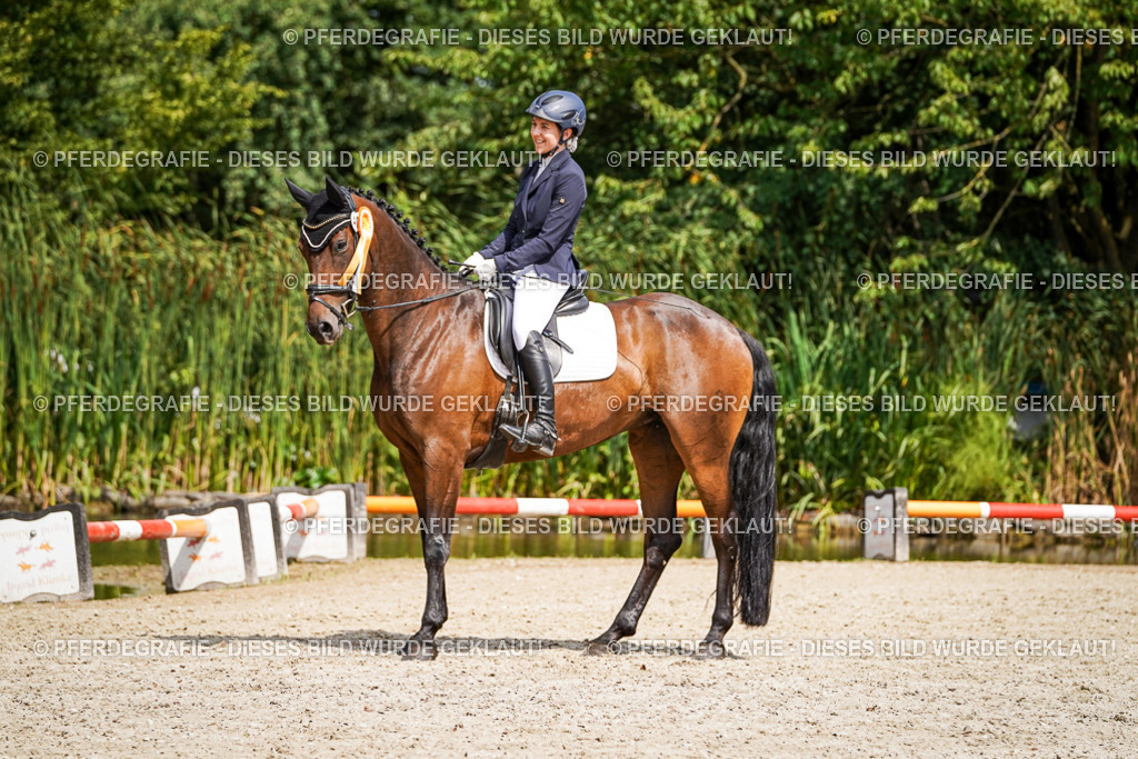 DSC02424 | Pferdegrafie