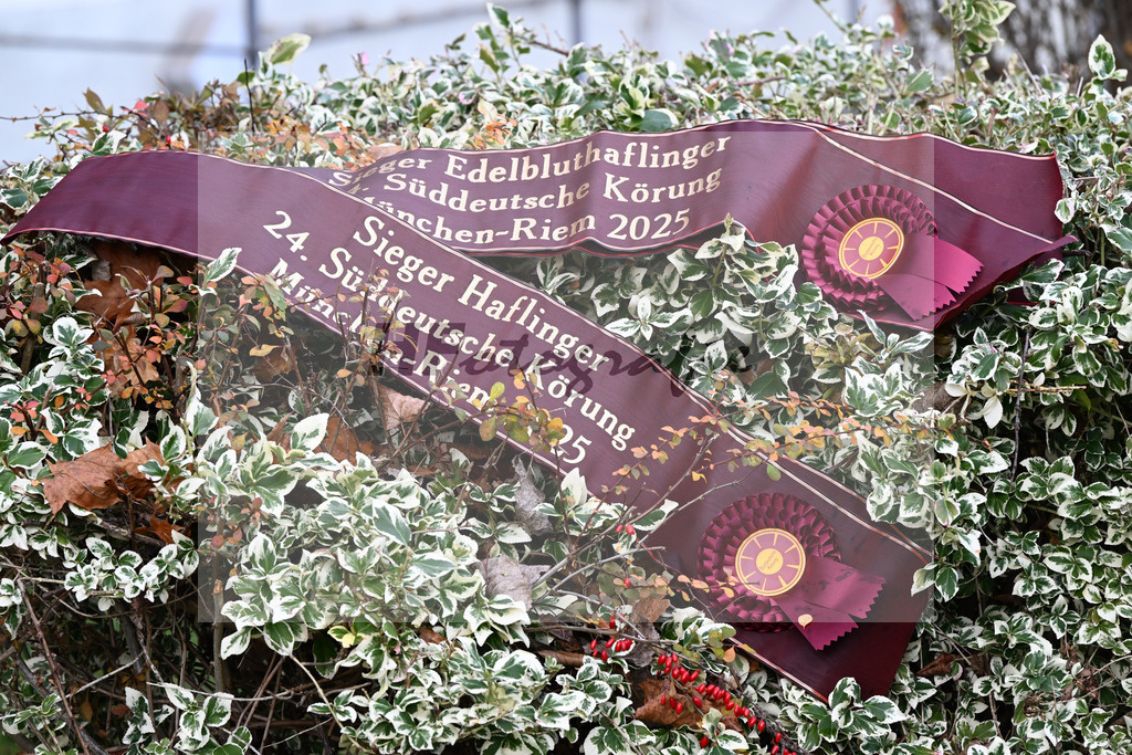 Impressionen Koerung_48250948 | hf-fotografie - Realisiert mit Pictrs.com