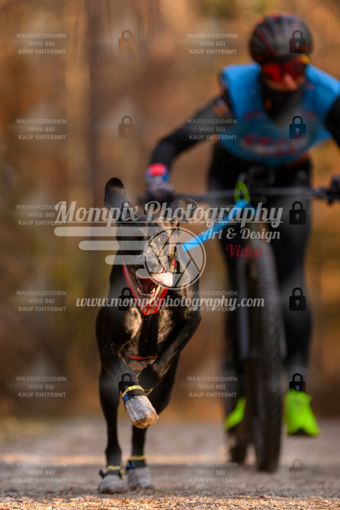 MompixPhotography_DM_AKDM_SO_2025_Scooter-85 | PayLife