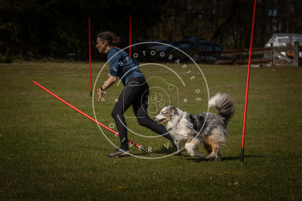 Pfotenfotografie_DV3A4279 | Hundefotografie, Tierfotograf, Pfotenfotografie, Fotoshooting Hund, Hunde Portrait, Hundesport, Hundeportraits, Heideshooting, Hunde, Sportfotograf, Hundefotograf, Turnierhundsport, THS,  - Realisiert mit Pictrs.com