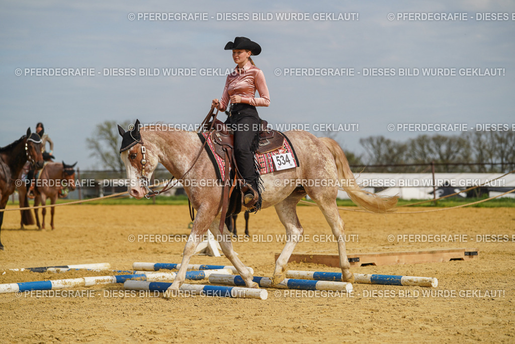 DSC04190 | Pferdegrafie