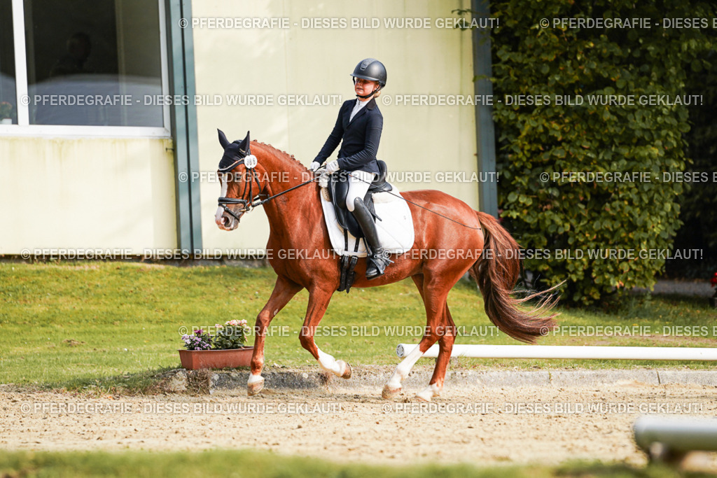 DSC05136 | Pferdegrafie