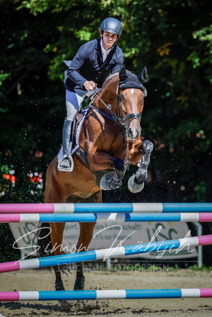20250906-_3LI4181 | Tierfotografie Pferde, Hunde, Katzen, Haustiere.
Turnierfotografie Reitturniere, Reiten, Springreiten, Dressur in Hanau, dem Main-Kinzig-Kreis und dem Rhein-Main- Gebiet um Frankfurt