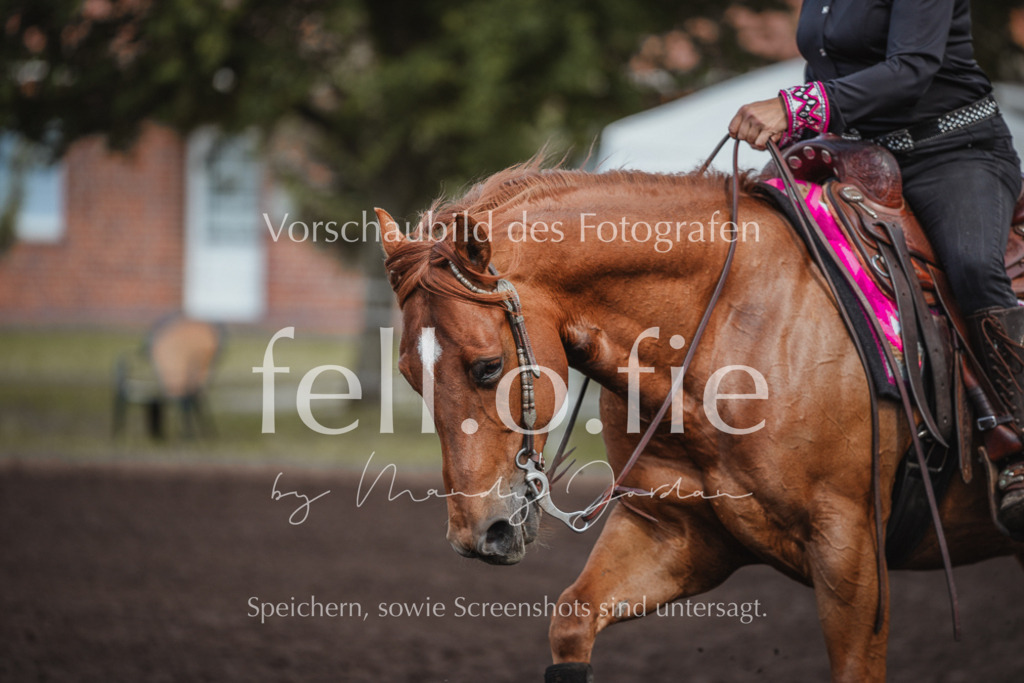 fell.o.fie_mandyjordan_2024_06_08479 | Mandy Klecke Fellfotografie, fell.o.fie Fotografenshop - Realisiert mit Pictrs.com