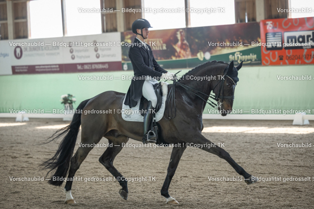 _D5A9230 | Emotionale Pferde- & People-Fotografie rund um Heidelberg, Leimen & Umgebung. Natürliche Fotos von Pferd, Mensch & Familie. Jetzt Termin sichern!