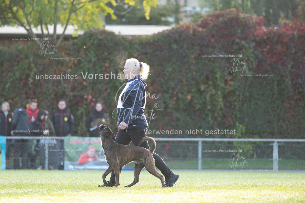 _16A5939 | Einzigartige Fotos von Hunden & Menschen –Actionfotos, Portraits, Vereinsaufnahmen & Paarshootings – authentisch, lebendig & mit Herz.