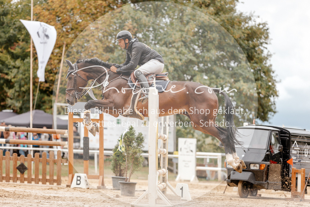 3I6A8803 | Stimmungsvolle Portraits und Reitsportfotografie im Ruhrgebiet und im Münsterland.

Pferdefotografie, Hundefotografie, Tierfotografie, Reportagen, Portraits von Tier und Mensch, Turnierfotografie in Bochum, Recklinghausen, Marl, Haltern am See, Dülmen.. - Realisiert mit Pictrs.com