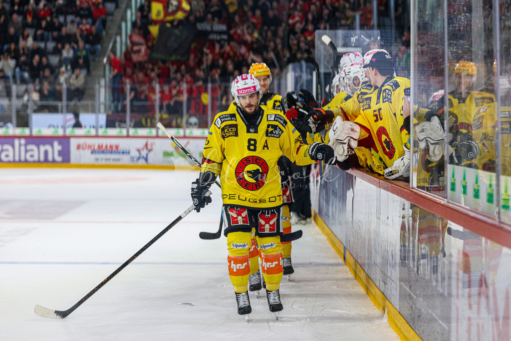 EHCB vs SCB 20260312_wb-4332 | Sportbilder, Sportfotograf, Hochzeits- und Eventfotografin, Flugshows, Portraits und Tiershooting, Aviation, Downhill, Nationalleague, Swissleague, International