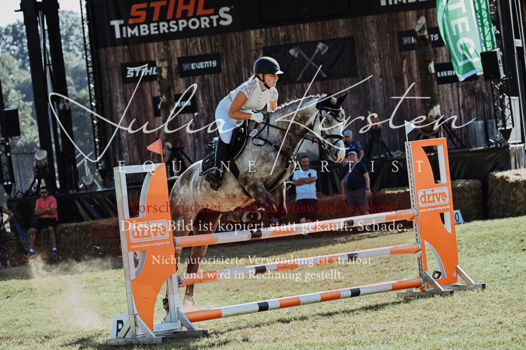 DSC_5519 | Pferde- und Turnierfotografie in Westsachsen. Pferdeportraits, Auftragszeichnungen und intuitive Kunst.