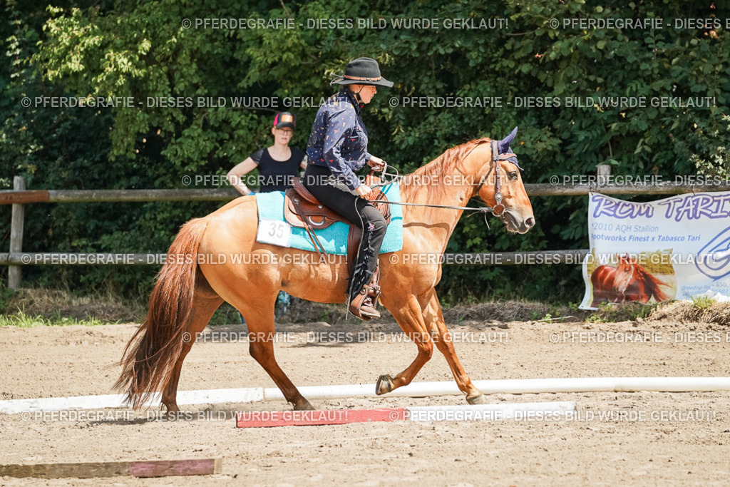 DSC06780 | Pferdegrafie